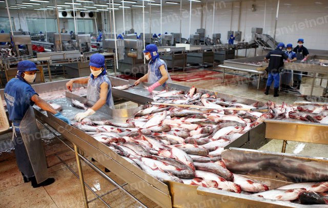Fish export to the UAE needs to follow Islamic law